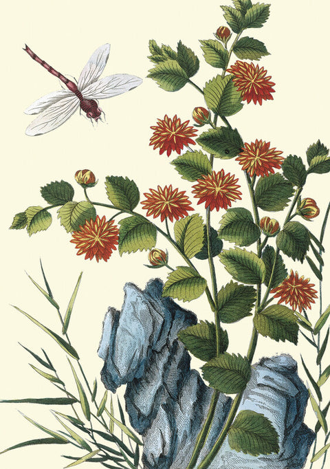 Orange Dahlia with dragonfly