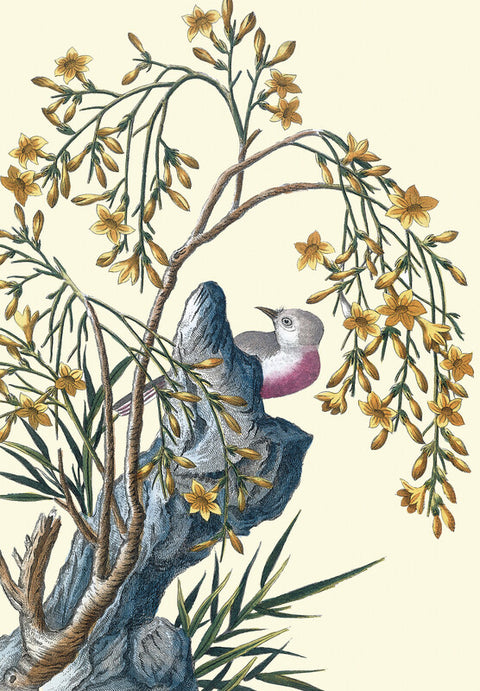 Yellow jasmine with bird and scholar's rock