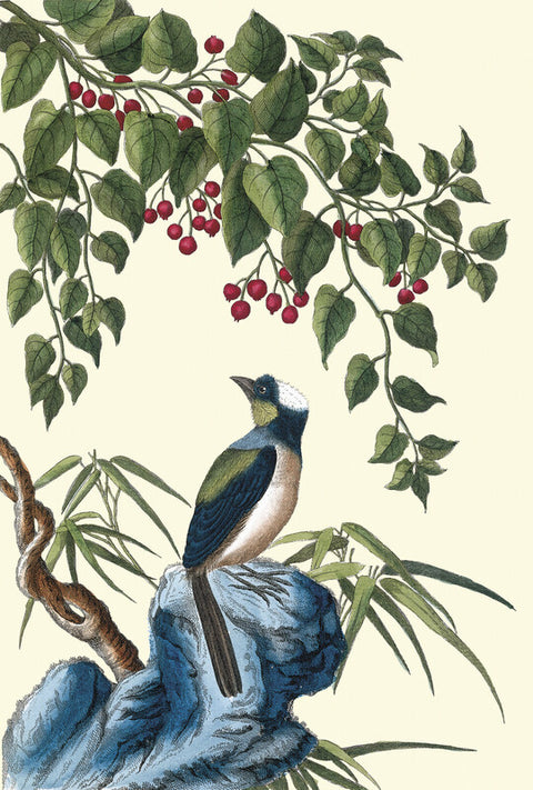 Smilax with bird