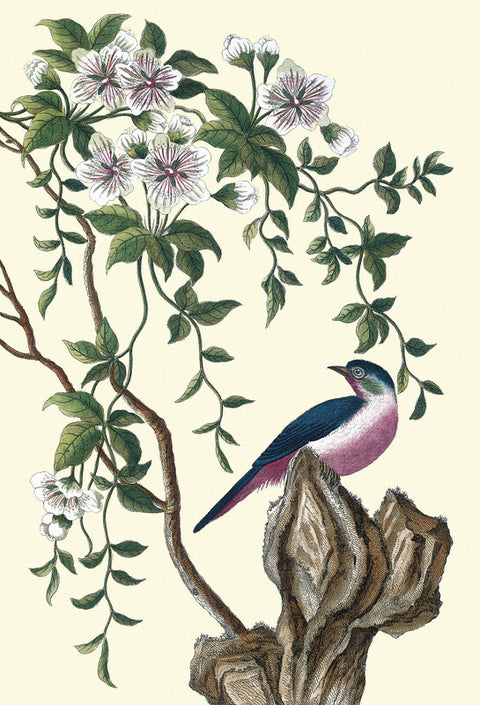 Purple bellied blue winged bird with purple flowering vine
