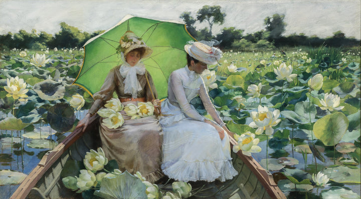 Lotus Lilies