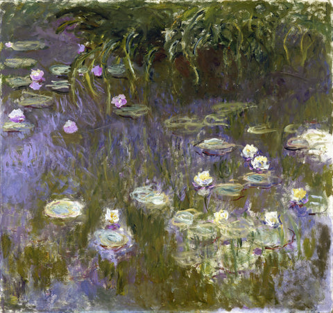 Water Lilies