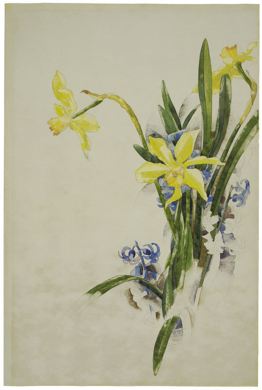 Jonquils
