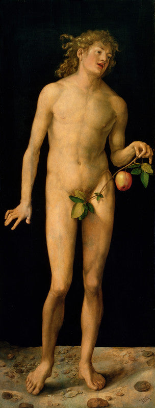 Adam, 1507