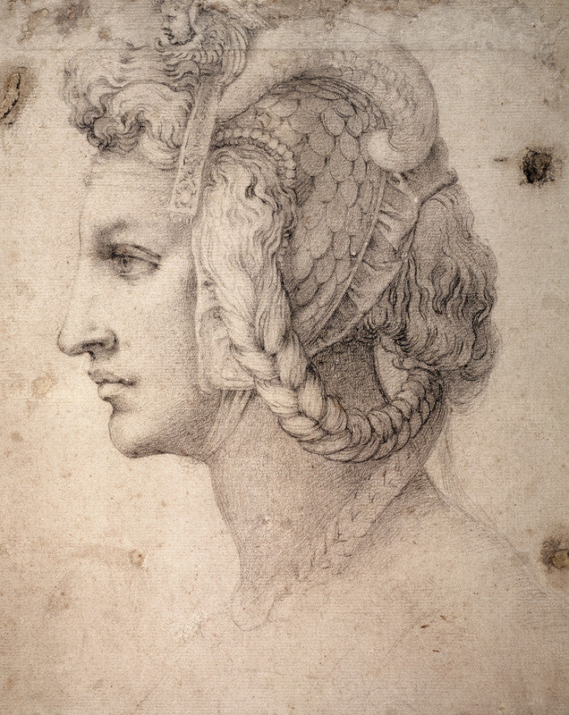 Study of Head