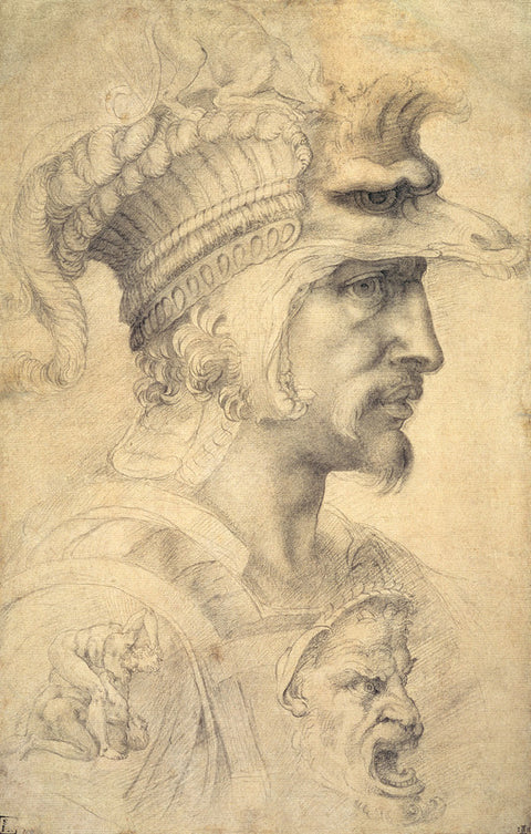 Ideal head of a warrior