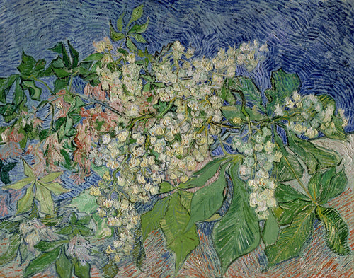 Blossoming Chestnut Branches