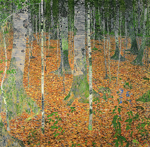 The Birch Wood