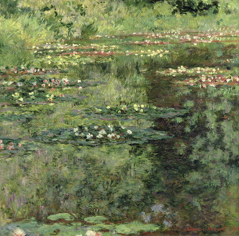 The Waterlily Pond