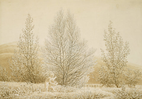 Spring (sepia ink and pencil on paper)