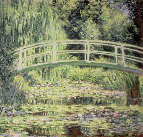 White Waterlilies