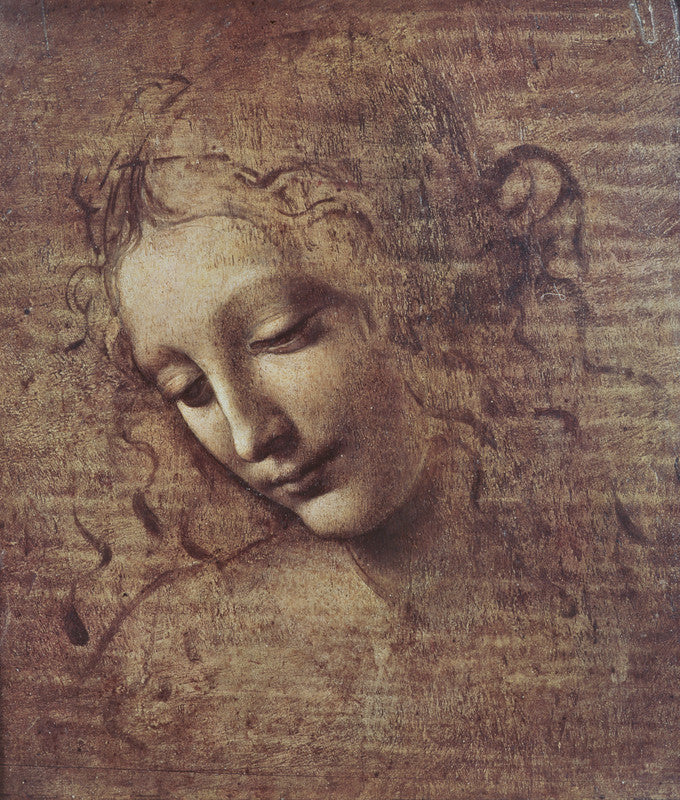 Leonardo da Vinci's drawing depicts a young woman's head in profile with curled hair against a brown toned background.
