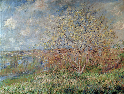 Spring