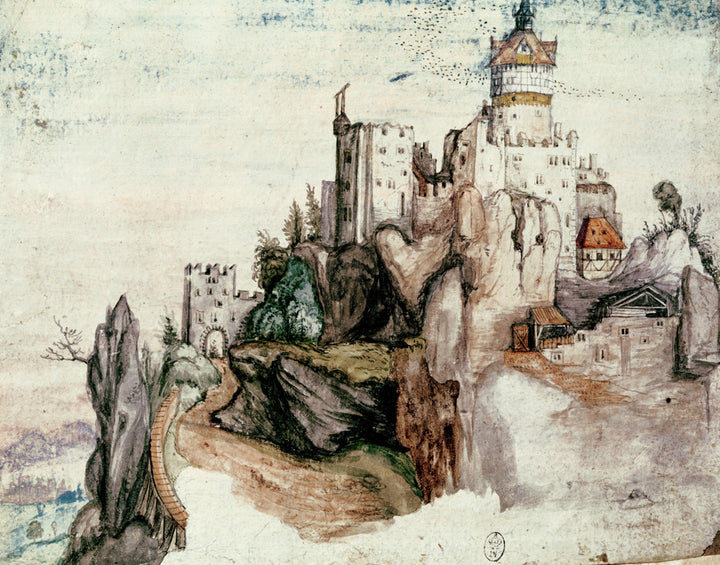 Fortified Castle