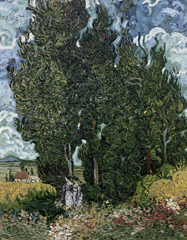 The cypresses