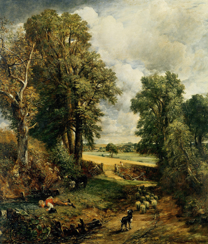 The Cornfield