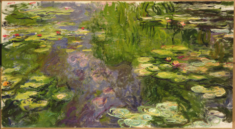 Waterlilies