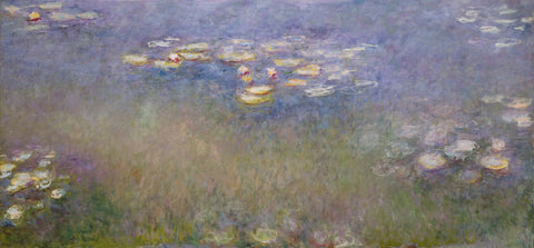 Water Lilies