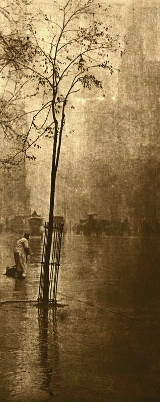 A tall sapling with sparse foliage stands in flooded ground beside a figure, rendered in sepia tones on a textured background.
