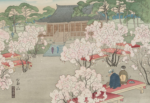 Cherry Blossoms at Omuro
