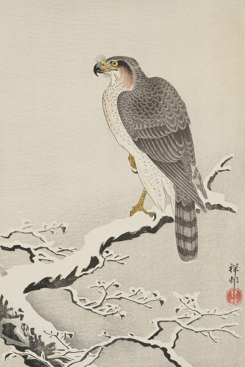 Hawk in Snow (Setchu no Taka)