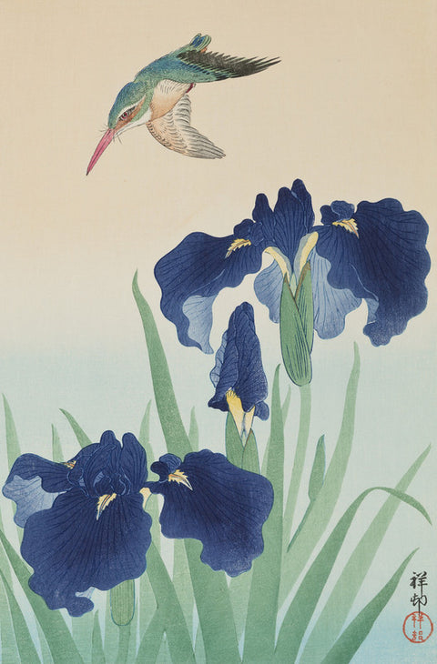 Kingfisher and Iris (Hana-Shobu ni Hisui)