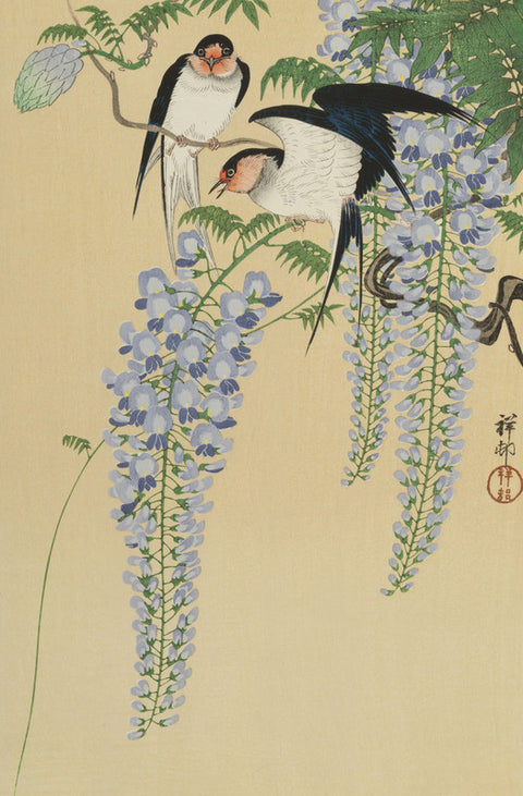 Wisteria and Swallows (Fuji no Tsubame)