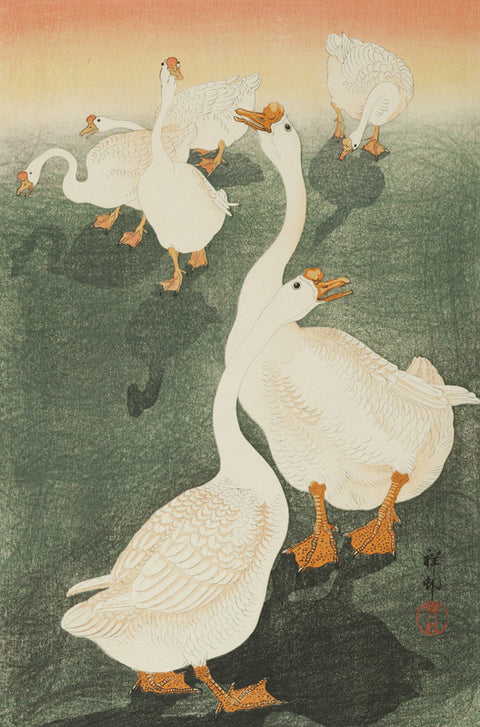 Geese (Gacho)