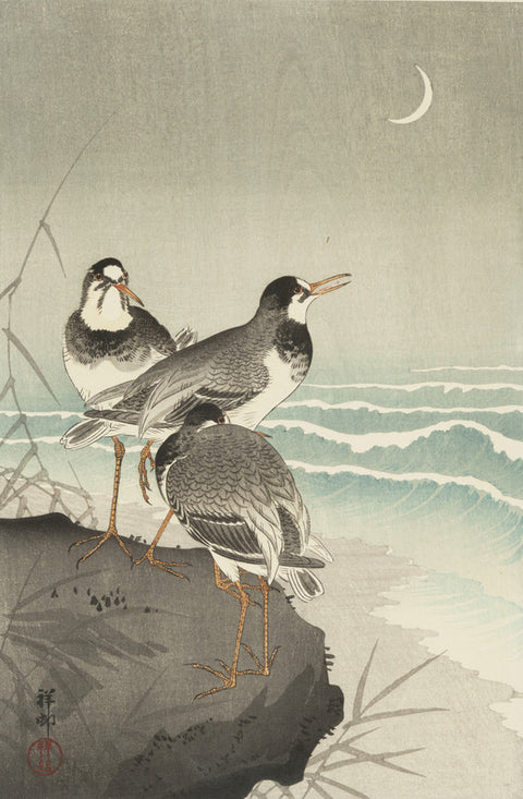Waves and Plovers (Nami ni Chidori)