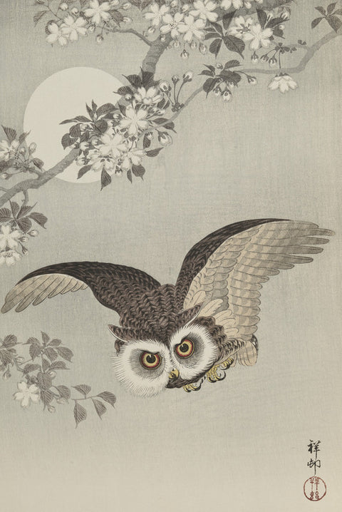 Cherry Blossoms and Owl (Sakura ni Fukuro)