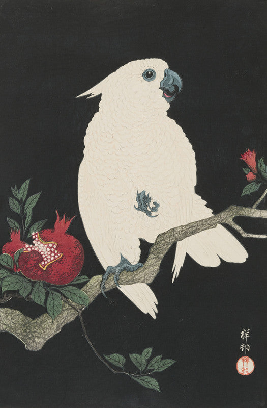 Pomegranate and Parrot (Zakuro ni Omu)