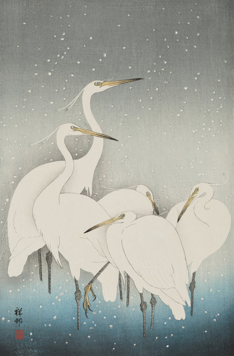 Herons in Snow