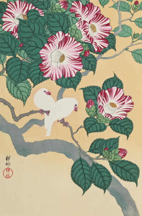 Camelia and Rice Birds (Tsubaki ni Shiro Buncho)