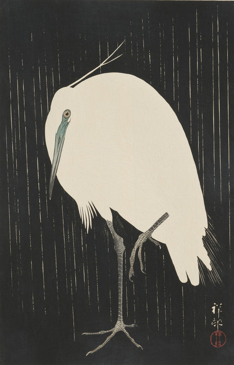 Heron in Rain