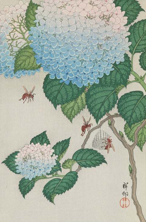 Hydrangea and Wasps (Ajisai ni Jigabachi)