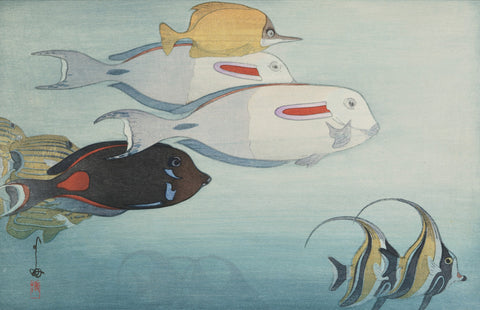 Fishes of Honolulu (Honoruru Suizokukan), from the American Series
