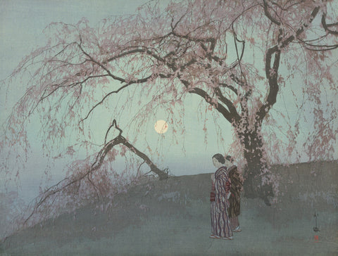 Kumoi Cherry Trees
