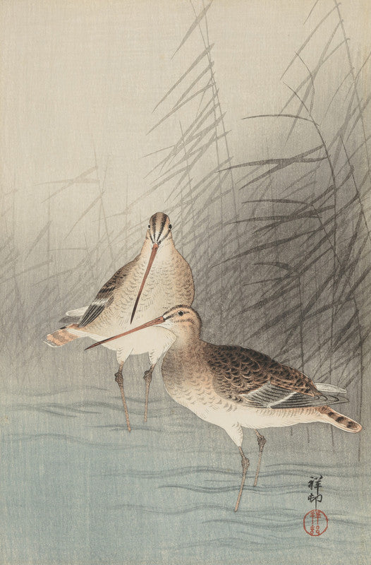 Reed and Snipe (Yoshi ni Shigi)