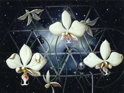 Biosphere: Orchids