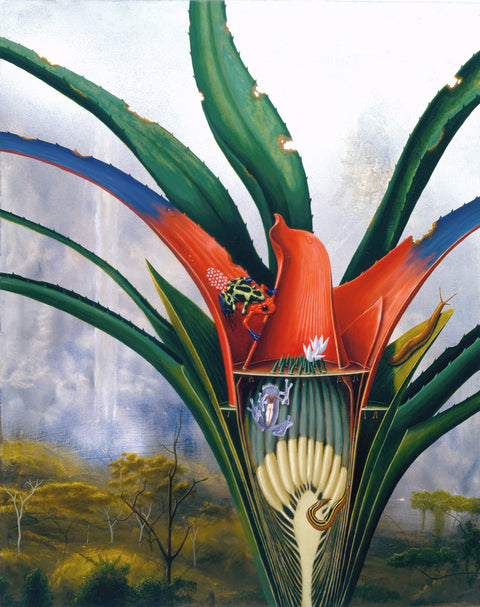 Bromeliad: Kaieteur Falls