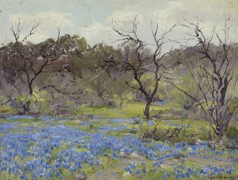 Early Spring-Bluebonnets and Mesquite