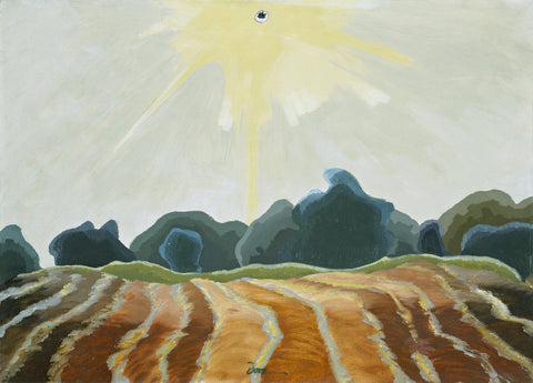 Morning Sun