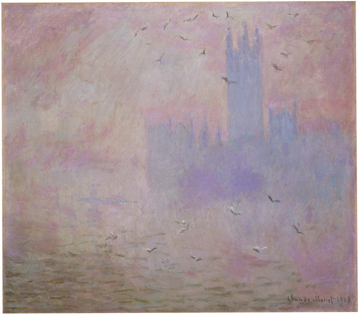 The Houses of Parliament, Seagulls