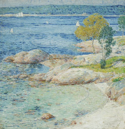 The Outer Harbour
