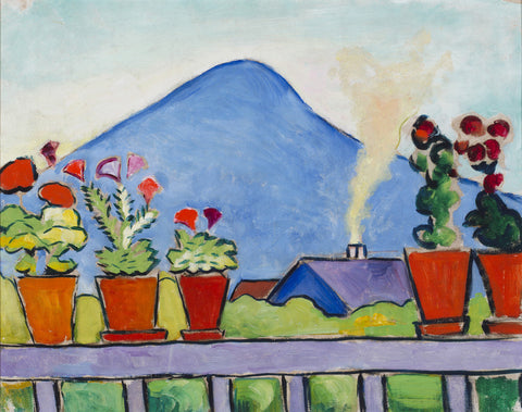 Geraniums Before Blue Mountain