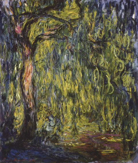 Weeping Willow