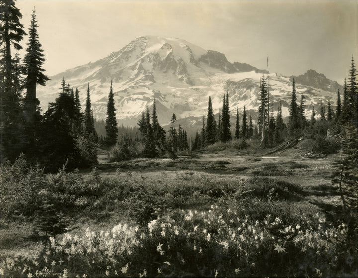 Mount Rainier from Pinnacle Meadows