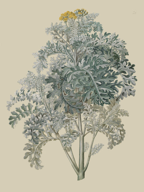 KKSgb2948-20