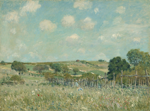 Meadow
