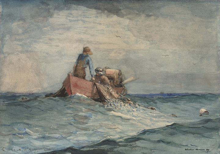 Hauling in the Nets